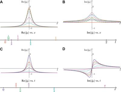 Peregrine Soliton as a Limiting Behavior of the Kuznetsov-Ma and Akhmediev Breathers